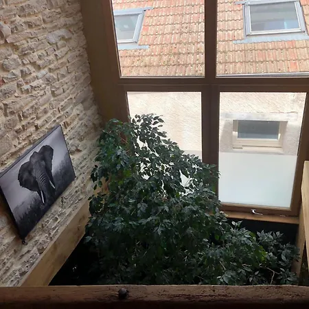 Appartement Maison Millot